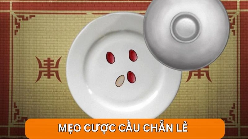 Live Xóc Đĩa Alo789 – Trải nghiệm cảm giác cá cược trực tiếp 5 Mẹo cược cầu chẵn lẻ khi chơi xóc đĩa